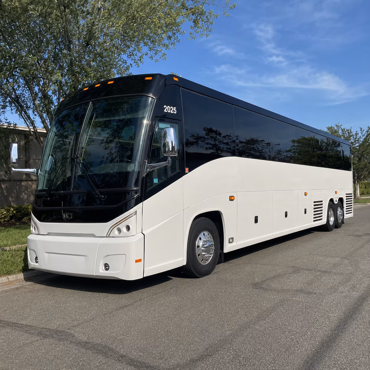 jacksonville charter bus tours to timucuan ecological historic preserve and cumberland island national seashore